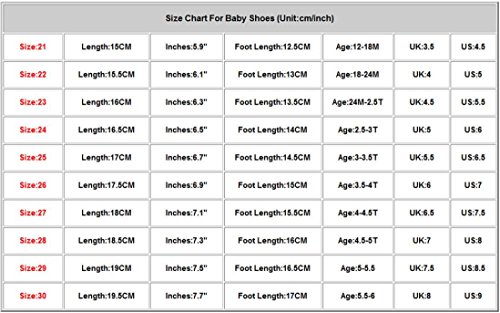 Children Shoes Girls,Fashion Baby Bowknot Sneaker Casual Shoes By Orangeskycn (5-5.5(29), White)