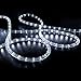 LE 150ft 110-120V AC LED Rope Lights Kit, 6000K Daylight White, Waterproof, Accessories Included, 360° Beam, Crystal Clear PVC Tubing Rope, Outdoor Rope Lighting for Christmas/Thanksgiving