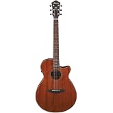 Ibanez AEG220 Okoume Acoustic-Electric Guitar, Natural Low Gloss | Okoume body with Ibanez T-bar pickup and onboard tuner for performance, recording and practice