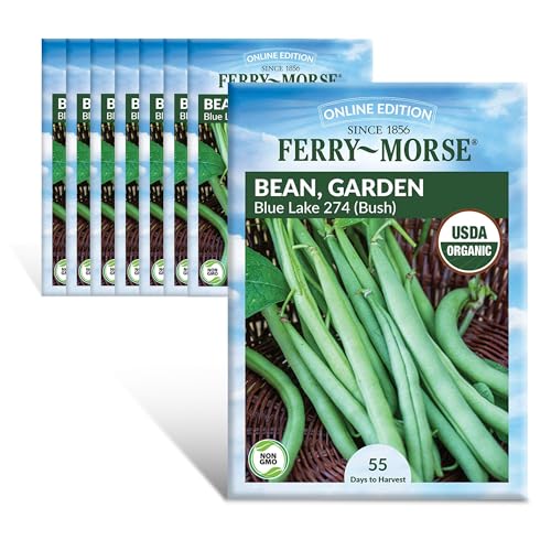 Ferry-Morse Online Edition Bean Blue Lake Bush 274 Organic Seed Multipack - 8 Pack