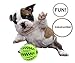 IQ Treat Ball [Chew Toy] FOR DOGS & CATS [Dental Treat][Bite Resistant] Durable Non Toxic- BPA FREE-Strong Tooth Cleaning for Pet Training/Playing/Chewing, [Enhace your Pets Playing Experience Now!]