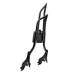 Mofun 28" Height Detachable Sissy Bar Passenger