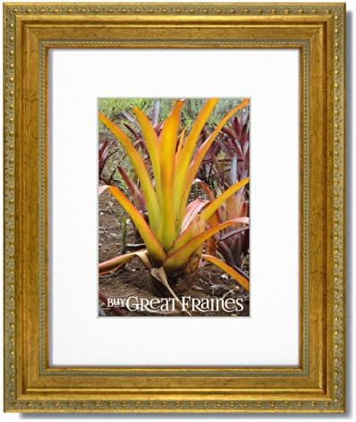 One 11x14 Ornate Heritage Gold Picture Frames and Clear Glass with a single Warm White Mat for 8x10