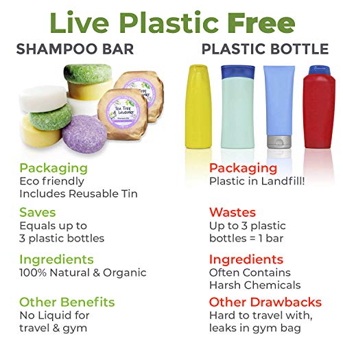 IndulgeMe Solid Shampoo and Conditioner Bar Eco Friendly Hair Care