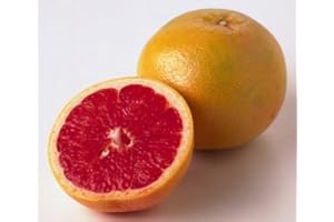 RED GRAPEFRUIT AT THE NEIGHBORHOOD CORNER STORE RED GRAPEFRUIT FRESH PRODUCE FRUIT VEGETABLES EACH (1)