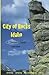 City of Rocks Idaho: A Climber's Guide (Regional Rock Climbing Series)
