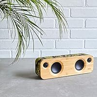 get together mini palm