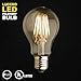 Lucero LED Filament Healthy Edison Light Bulb - Dimmable Warm White 8W - 80W Equivalent UL Listed A19 E26/27 Base 2700K