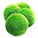 Luffy Marimo Moss Balls - Aesthetically Beautiful & Create Healthy Environment - Eco-Friendly, Low Maintenance & Curbs Algae Growth - Shrimps & Snails Love Them (4 Large)