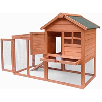 Amazon.com: Advantek The Stilt House Rabbit Hutch: Garden  Amazon.com: Advantek The Stilt House Rabbit Hutch: Garden