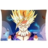 Coolest Dragon Ball Z Custom Rectangle Pillowcase Pillow Cases Cover 20x30 (one side) Standard Size Super Cartoons Anime Series