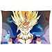 Coolest Dragon Ball Z Custom Rectangle Pillowcase Pillow Cases Cover 20x30 (one side) Standard Size Super Cartoons Anime Series