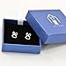 Paialco Sterling Silver Dainty Bunny Rabbit Ears Earring Studs for Girls, White Rhodium Plating