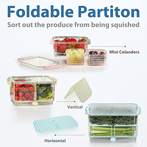 Felli Duo Fresh Produce Saver Containers for Refrigerator Air Vent