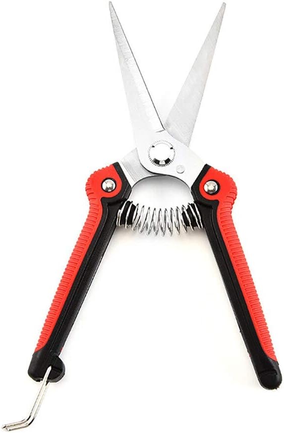 titanium secateurs