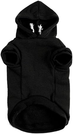 what kind of dog is a frenchie