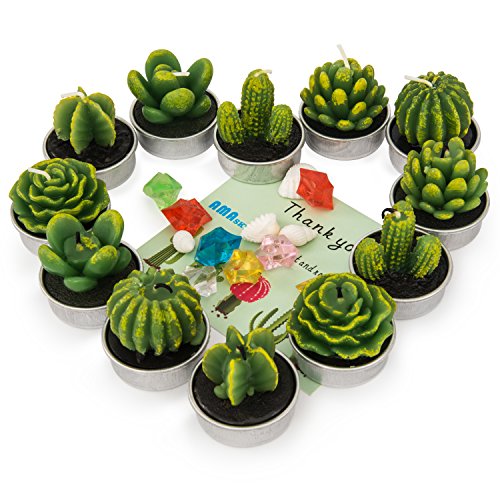 Cactus Tealight Candles, AMASKY Handmade Delicate Succulent Cactus Candles for Valentine's day Birthday Party Wedding Spa Home Decoration, 12 Pcs in Pack. (12)