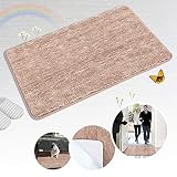 Indoor Doormat Front Door Mat Non Slip Rubber Backing Super Absorbent Mud and Snow Magic Inside Dirts Trapper Mats Entrance Door Rug Shoes Scraper Machine Washable Rug Carpet - Brown, 20"x 31.5"