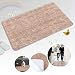 Indoor Doormat Front Door Mat Non Slip Rubber Backing Super Absorbent Mud and Snow Magic Inside Dirts Trapper Mats Entrance Door Rug Shoes Scraper Machine Washable Rug Carpet - Brown, 20"x 31.5" primary