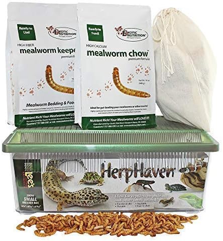 Amazon Com Mealworm Breeder Kit Breed Live Feeder Worms For