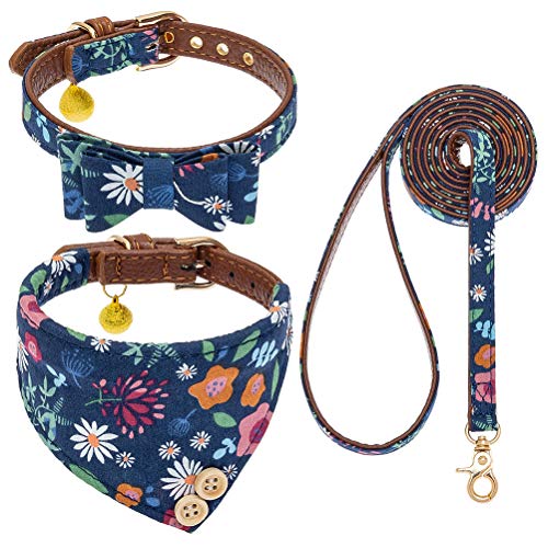 Expawlorer Bandana, Collar, and Leash Set