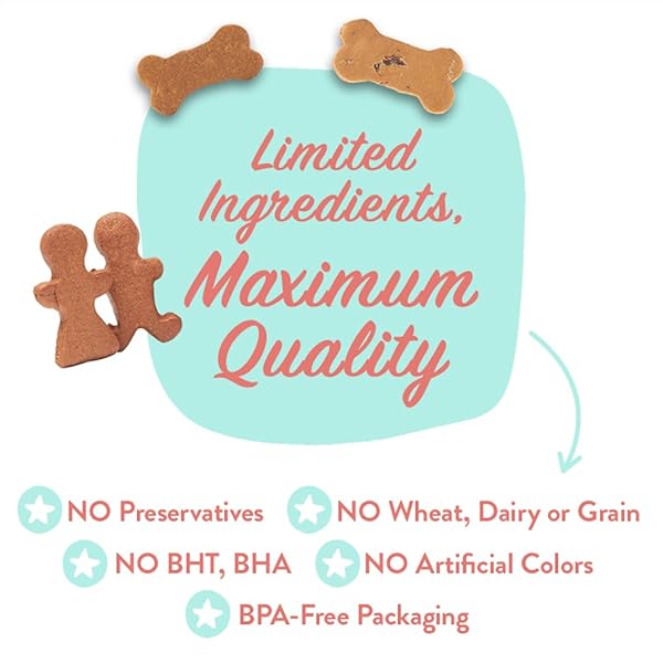 PORTLAND PET FOOD COMPANY PUMPKIN DOG TREATS HEALTHY BISCUITS FOR SMALL MEDIUM & LARGE DOGS – GRAIN-FREE, HUMAN-GRADE, ALL NATURAL COOKIES, SNACKS & PUPPY TRAINING TREATS – MADE IN THE USA – 5 OZ