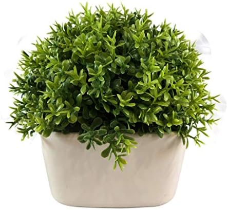 Peach Tree Farm Small Artificial Plant for Kitchen/Home Decor, Small Artificial Topiary for House Decorations (Potted Plants) (Clover)