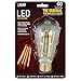 Original” Vintage Exposed Filament Clear Glass Soft White (2100K) Dimmable ST19 LED Light Bulb (BPST19/LED)
