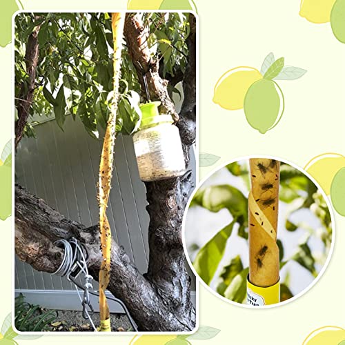 Stingmon 20 Pack Fly Strips, Sticky Fruit Fly Trap Indoor/Outdoor