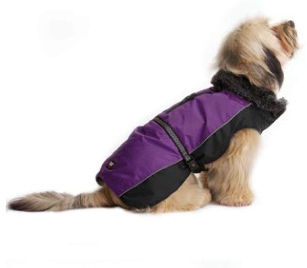 Dog Gone Smart Aspen Jackets Purple/Black 8"
