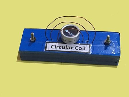 Project Hub-Magnetic Field Due to a Current in a Circular Coil || Physics & Electromagnetism Experiment (Using Component Blocks)
