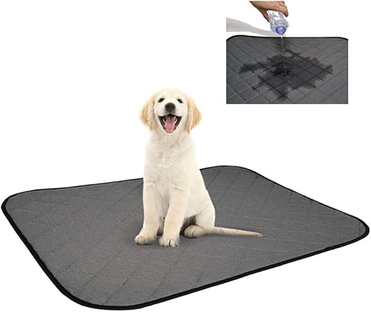 Pping Alaise Chien Alese Jetable Impermeable Chien Couverture Carre Tampons Chiot Tapis De Chien De Formation Chat Tapis Pee Tapis Pour Chiens 24 18inch Amazon Fr Cuisine Maison