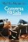 Livro Conversa na sala: Crônicas