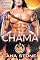 Livro CHAMA: Um Romance de Guerreiro Alienígena de Ficção Científica (Força Inferno dos Guerreiros Drexianos Livro 4)