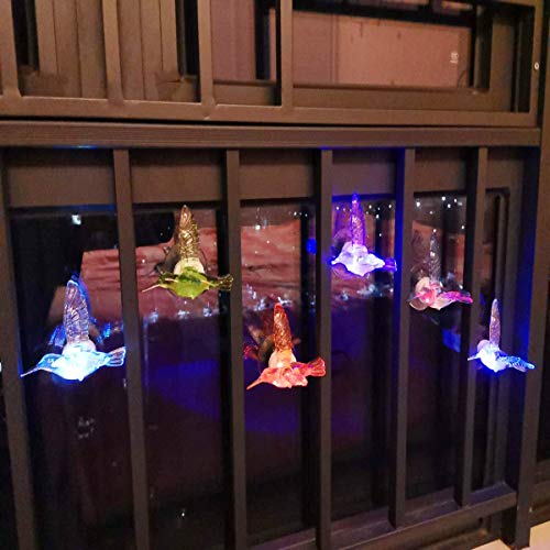TuTu Home Wall Night Lights 3D Color Changing LED Hummingbird Lights with Suction Cup Decorative Lights for Home Party Garden Set of 6