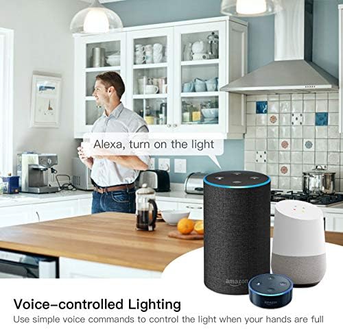 WiFi Momentary Inching Relay Selbsthemmendes Schaltermodul WiFi Enable APP Fernbedienung Kompatibel mit Alexa Google Home Smart Home Automatisierungsmodul