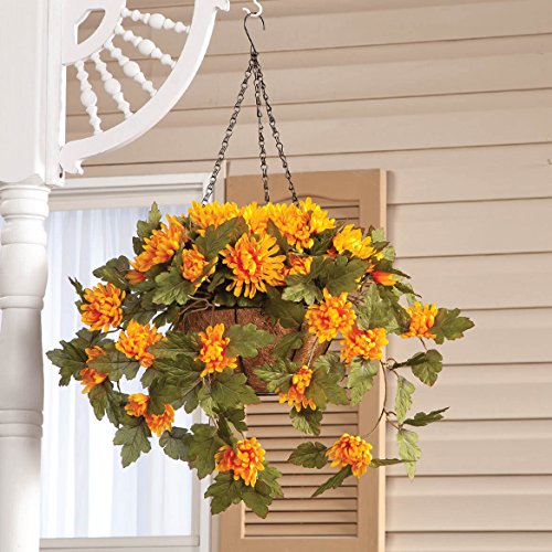 OakRidge Fully Assembled Artificial Mum Hanging Basket, Gold, 10