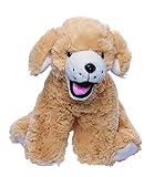 Beary Fun Friends Recordable 8
