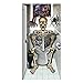 Forum Novelties 76927 Forum Bathroom Skeleton on Toilet Halloween 30