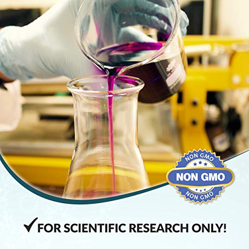 4 C60+Supplement+FULLERENE+Supplement+BUCKMINSTERFULLERENE