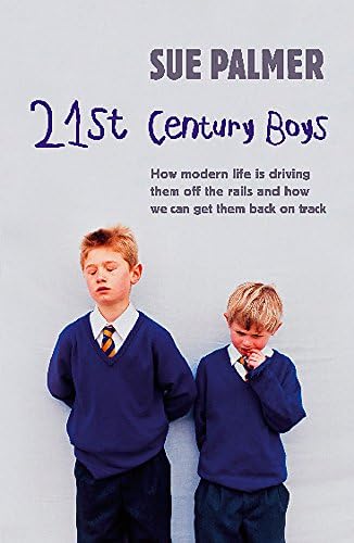 21st Century Boys How Modern Life Is Driving Them Off The Rails And How We Can Get Them Back On Track Palmer Sue Amazon Com Books