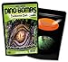 Kids Dino Bombs Dinosaur Bath Bombs - Fun XL Bathbombs for Kids - 5 Ounces Each - Kids Bath Fizzers - Turns Kids Bath Water Murky Green - 2 Pack