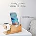 Spigen S370 Designed for Apple Watch Stand and Cell Phone Stand for Any Apple Watch Series and Phone