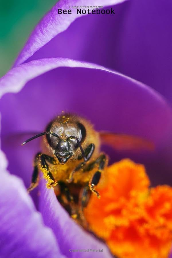 Bee Notebook: Bee notebook blank pages - Journal to write in - 120 pages - 6"x9"