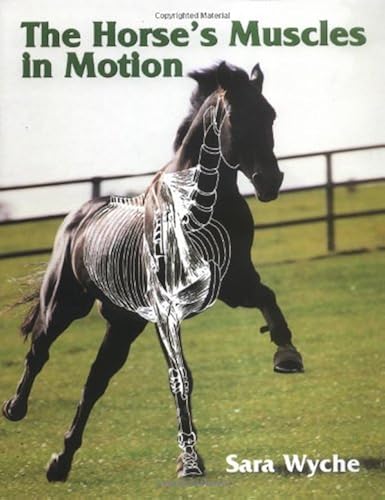 Download The Horses Muscles in Motion PDF