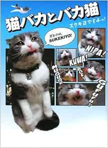 猫バカとバカ猫 スケキヨですよっ アース スターブックス Amazon Com Books