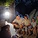 Viewee LED Camping Lantern Portable Outdoor Flashlights with USB Chargeable Batteries Adjustable Brightness (Collapsible, Black)