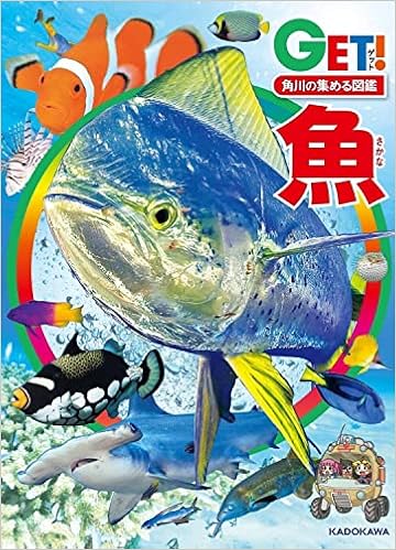 角川の集める図鑑get 魚 宮 正樹 佐土 哲也 小枝 圭太 本 通販 Amazon
