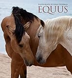 Equus 2020 Wall Calendar by 