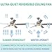 Andersonlight 48-Inch Modern LED Ceiling Fan 5 Stainless Steel Blades and Remote Control 3-Light Changes Indoor Mute Energy Saving Fan Chandelier for Home Decoration